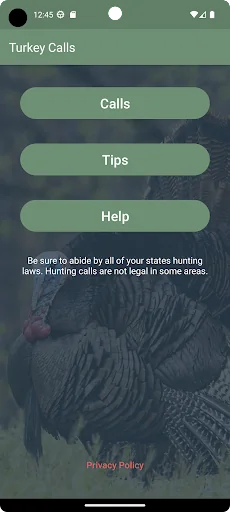 Turkey Calls