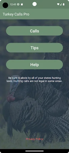 Turkey Calls Pro