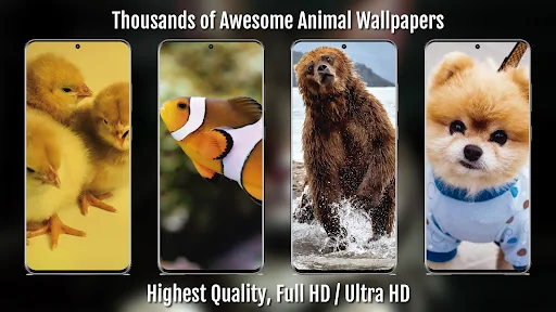 Animal Wallpapers Full HD / 4K screenshot 2