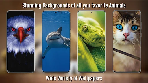 Animal Wallpapers Full HD / 4K screenshot 3