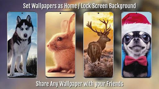 Animal Wallpapers Full HD / 4K screenshot 4