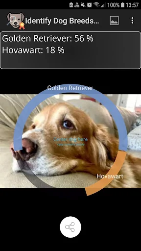 Identify Dog Breeds screenshot 2