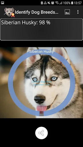 Identify Dog Breeds screenshot 3