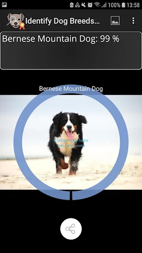 Identify Dog Breeds screenshot 4