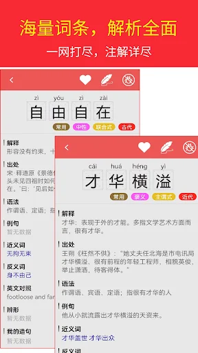 Chinese Idiom Dictionary
