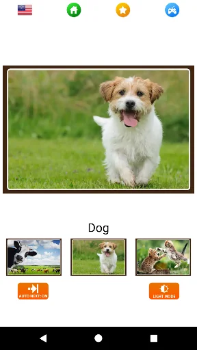 Animal sounds