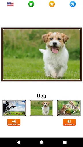 Animal sounds