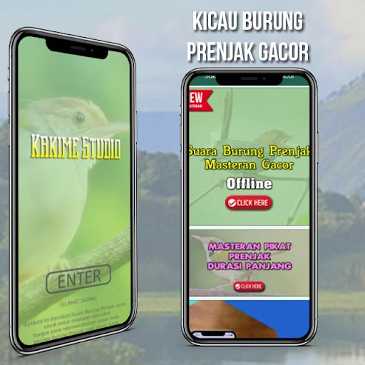 Suara Burung Prenjak Gacor