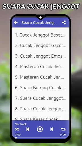 Masteran Cucak Jenggot Gacor