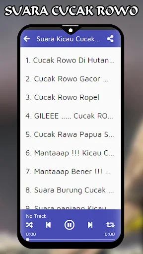 Suara Burung Cucak Rowo Gacor