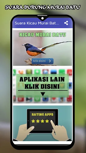 Suara Murai Batu Gacor Ampuh