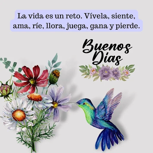 Frases de Buenos Días screenshot 2