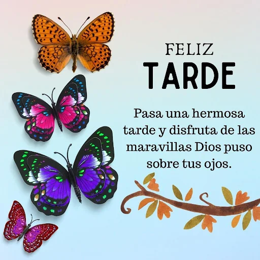 Frases de Buenos Días screenshot 4