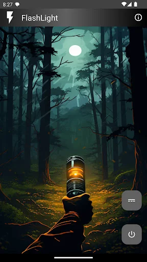 Blinking Flashlight
