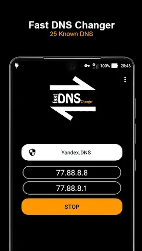 Fast DNS Changer screenshot 3