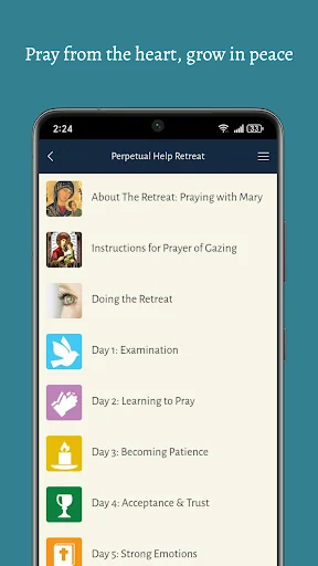 Mary Pray For Us screenshot 2
