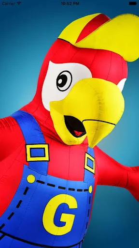 Guacamaya Consulta