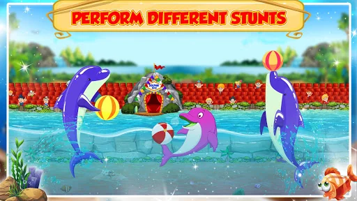 Dolphin Water Show