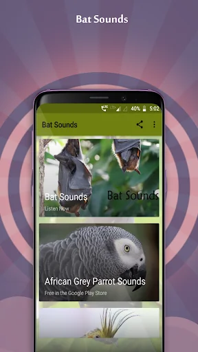 Bat Sounds