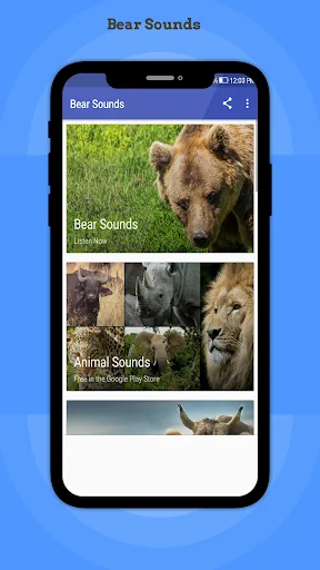 Bear Sounds