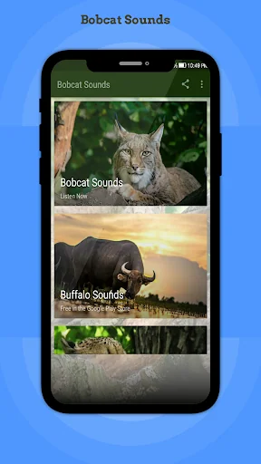 Bobcat Sounds