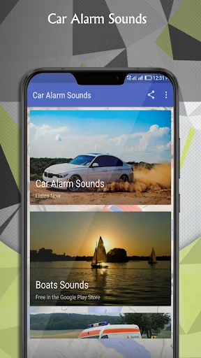 Car Alarm Sounds