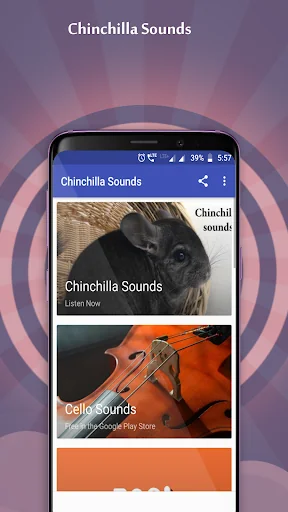Chinchilla Sounds