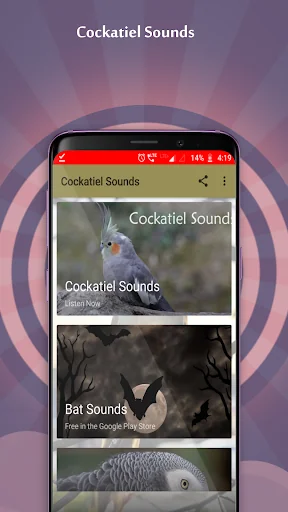 Cockatiel Sounds