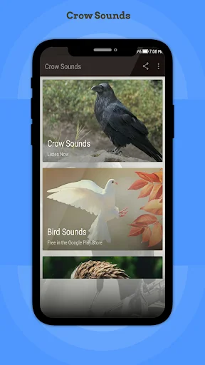 Crow Sounds