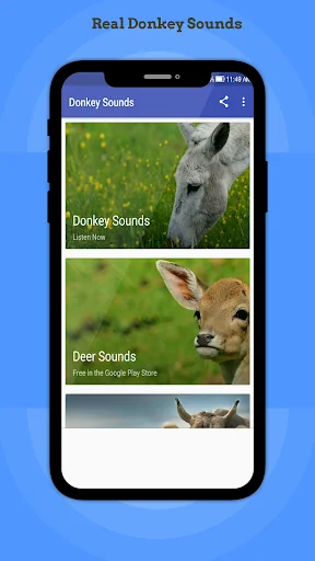Donkey Sounds