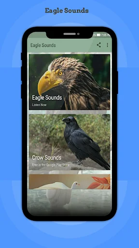 Eagle Sounds