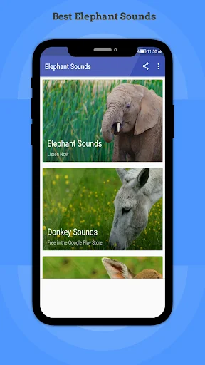 Elephant Sounds