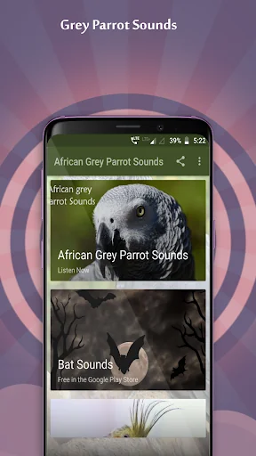 African Grey Parrot Sounds