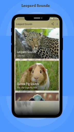 Leopard Sounds