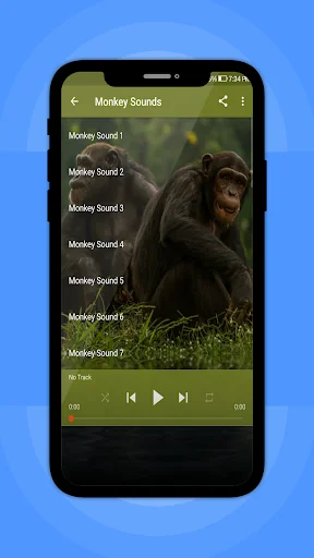 Monkey Sounds