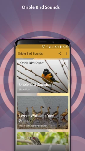 Oriole Bird Sounds