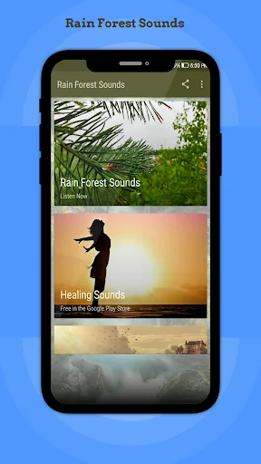 Rain Forest Sounds