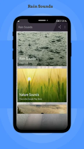 Rain Sounds