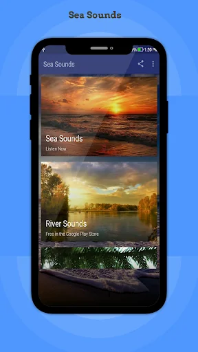Sea Sounds