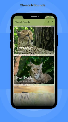 Cheetah Sounds