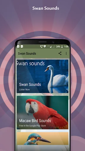 Swan Sounds