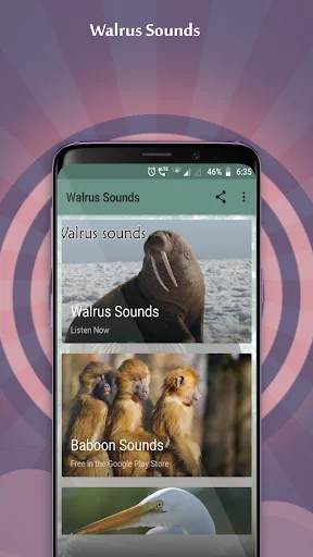 Walrus Sounds