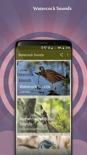 Watercock Sounds