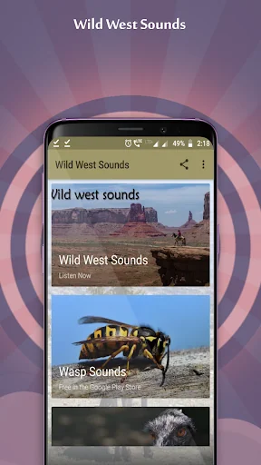 Wild West Sounds