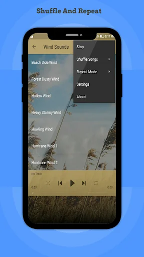 Wind Sounds