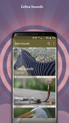 Zebra Sounds