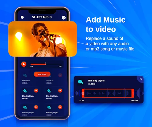 Video Voice Dubbing