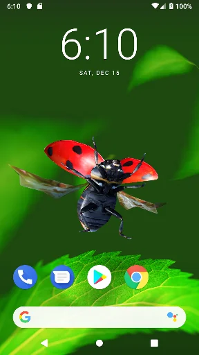 Bugs Life 3D Free - 3D Live Wa