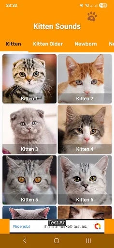 Kitten Sounds: Meows & Purrs screenshot 1