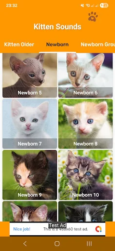 Kitten Sounds: Meows & Purrs screenshot 2